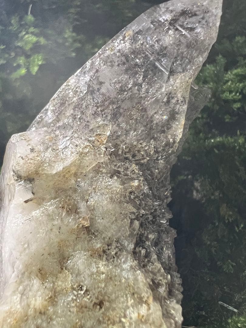 龍脈の精髄 ― ガーデンクォーツ & カテドラル（売上の一部は保護猫活動に使用）