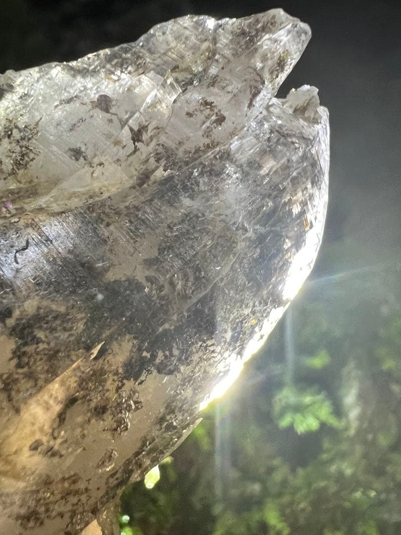 龍脈の精髄 ― ガーデンクォーツ & カテドラル（売上の一部は保護猫活動に使用）