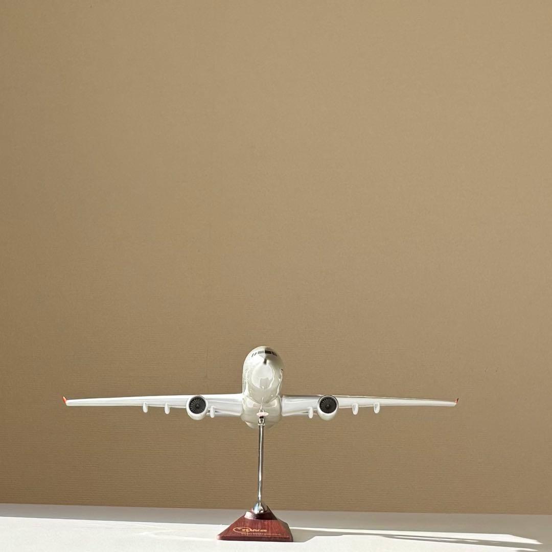 SALE中 【匿名配送】ノースウエスト 航空機 飛行機 模型 nwa モデル