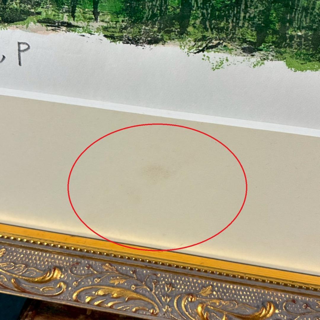 美品 田崎廣助「快晴の阿蘇」リトグラフ 直筆サイン・印章有 額縁入 熊本 阿蘇山