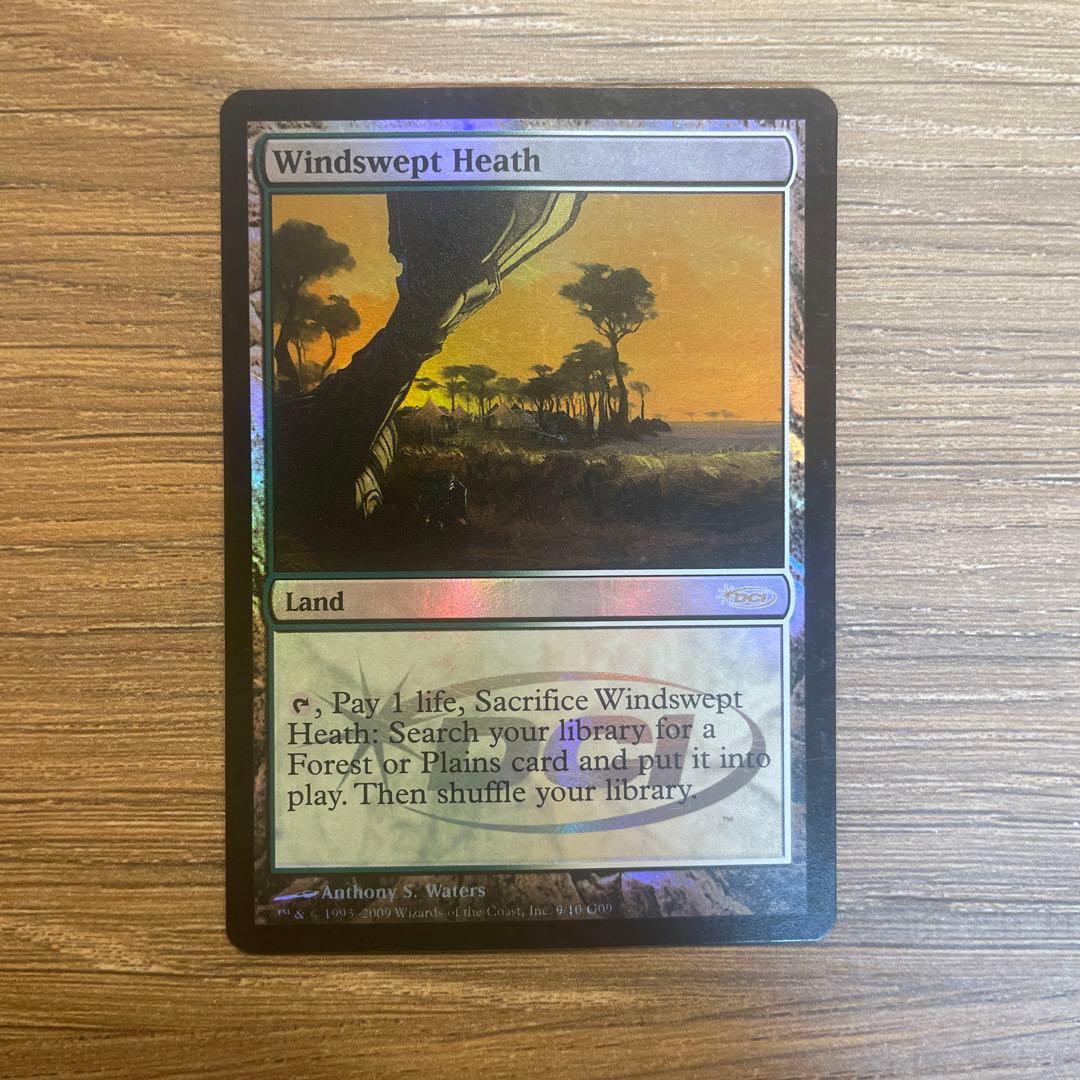 吹きさらしの荒野 / Windswept Heath ジャッジ褒賞 Foil