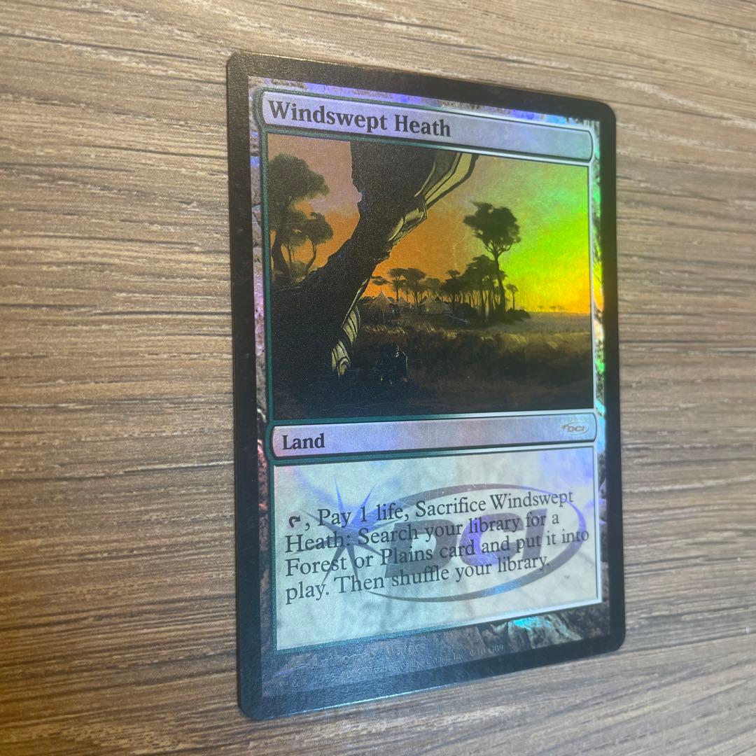 吹きさらしの荒野 / Windswept Heath ジャッジ褒賞 Foil