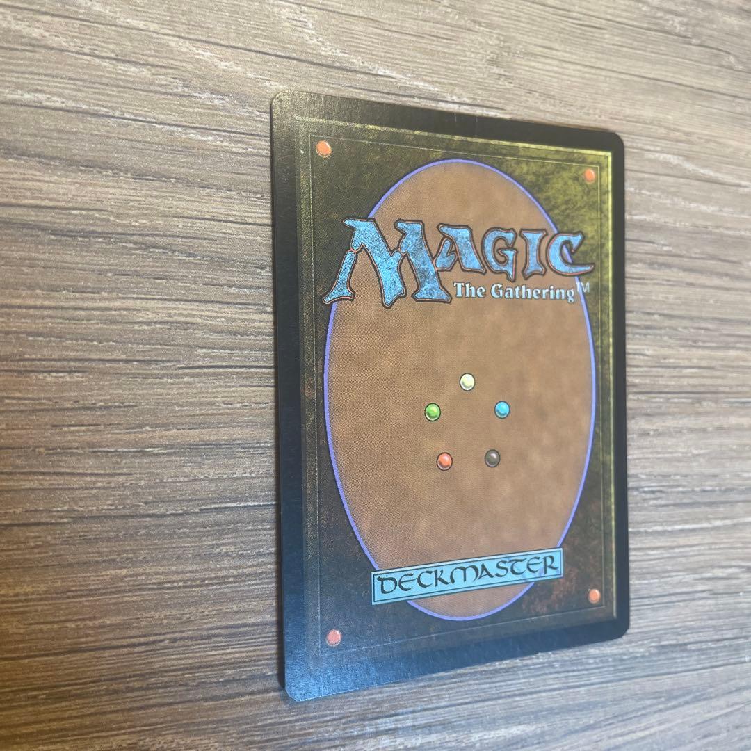 吹きさらしの荒野 / Windswept Heath ジャッジ褒賞 Foil