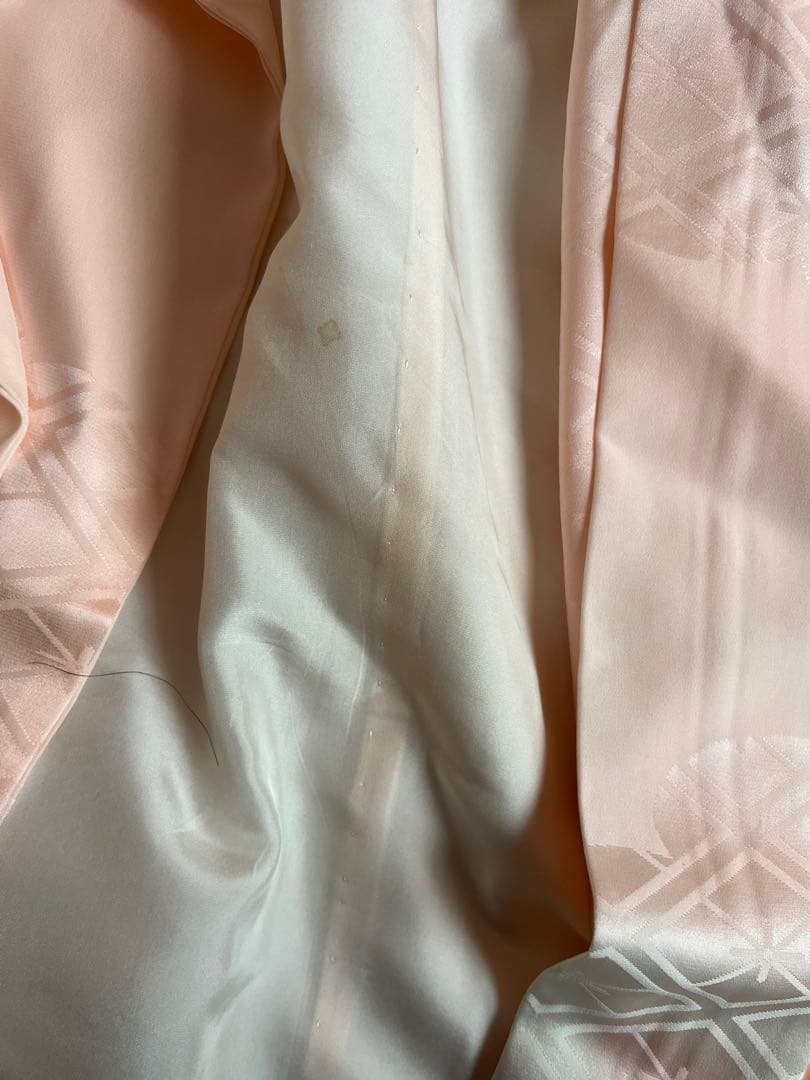 振袖　成人式　藤文様　美品　長襦袢セット