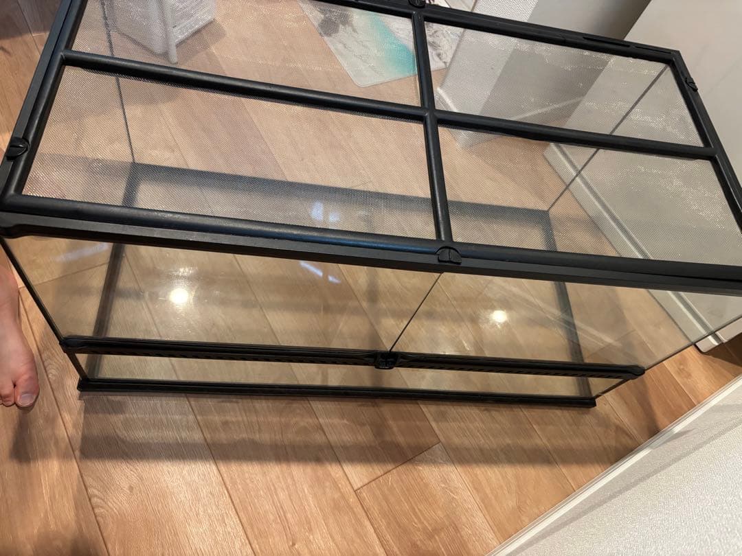 エキゾテラ　グラステラリウム9045 おまけもあります