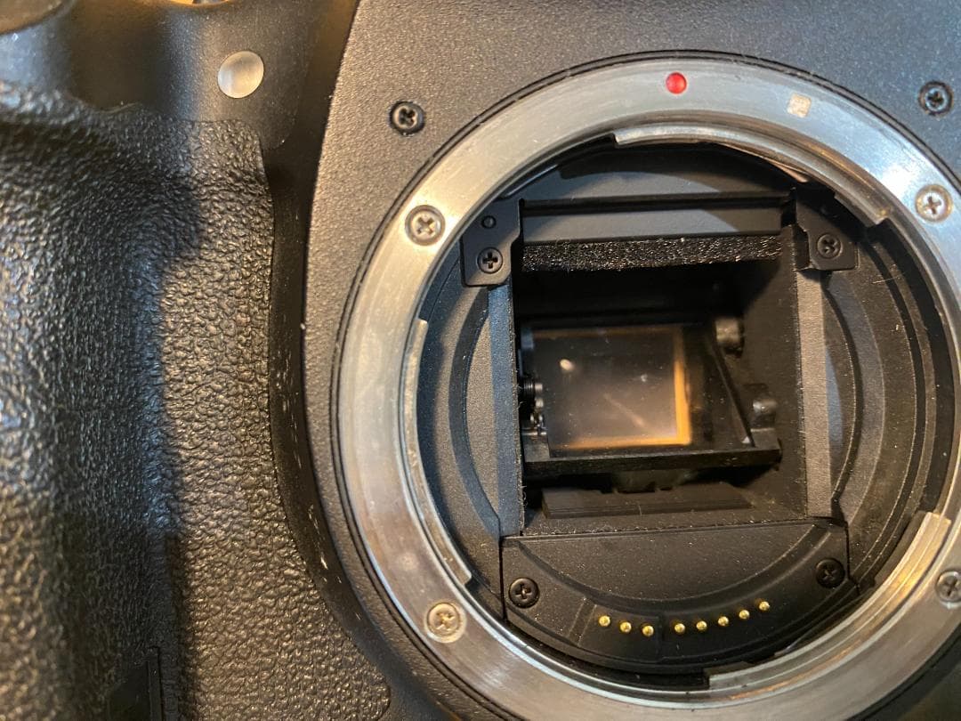 Canonの一眼レフカメラ EOS 7D セット