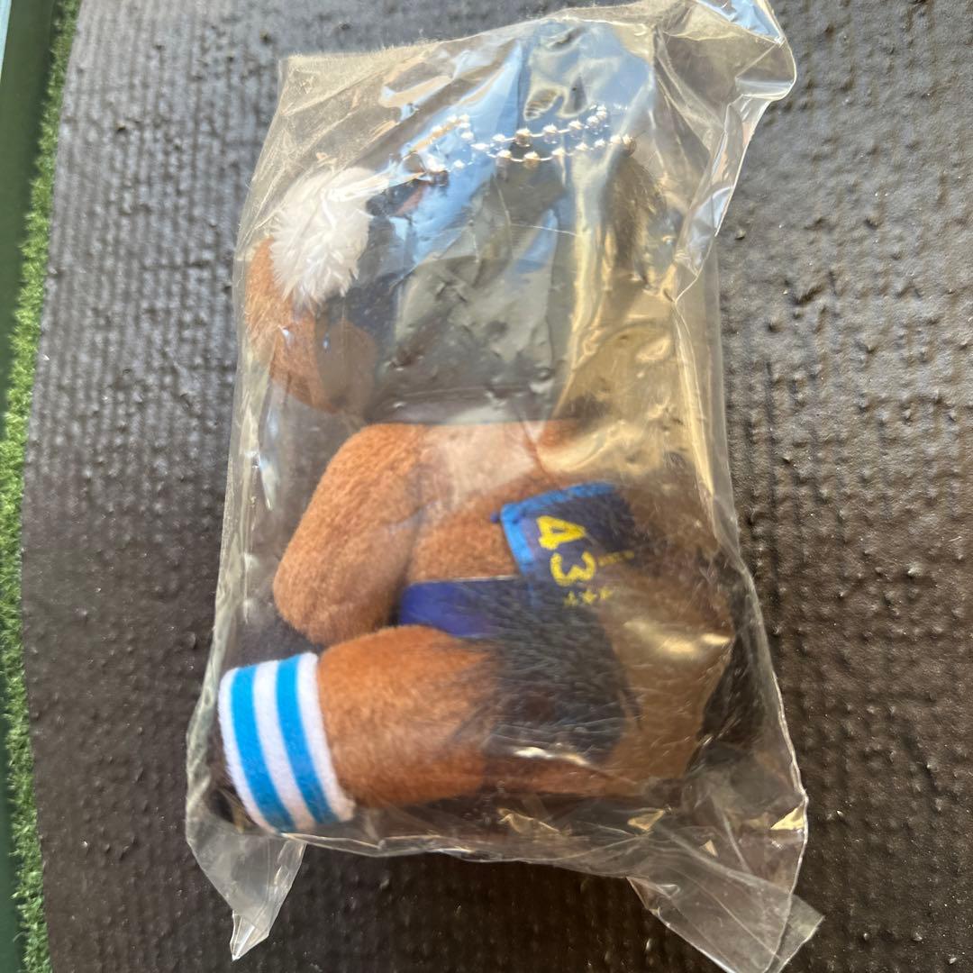 アイドルホース　アーモンドアイ　美浦トレセン　非売品