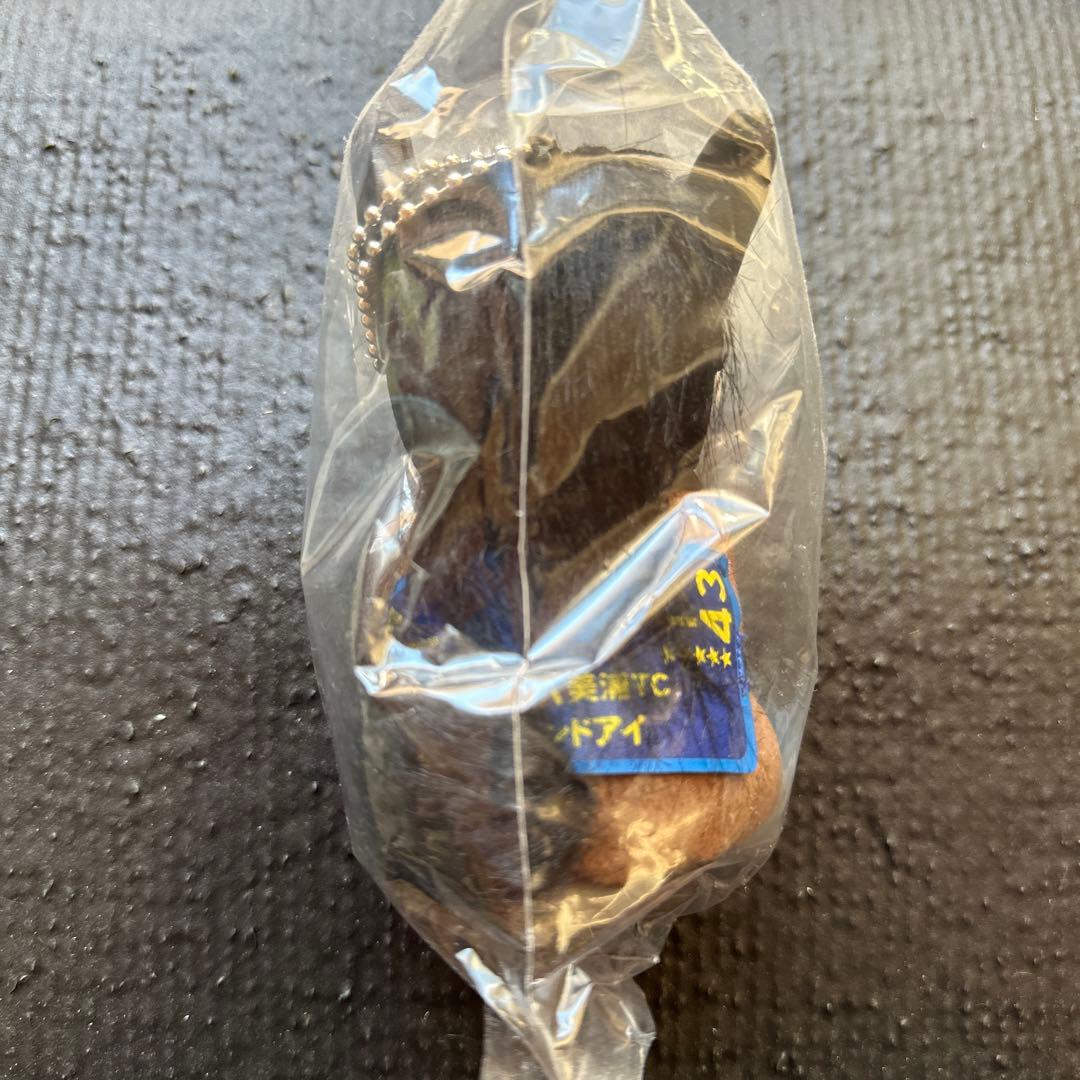 アイドルホース　アーモンドアイ　美浦トレセン　非売品