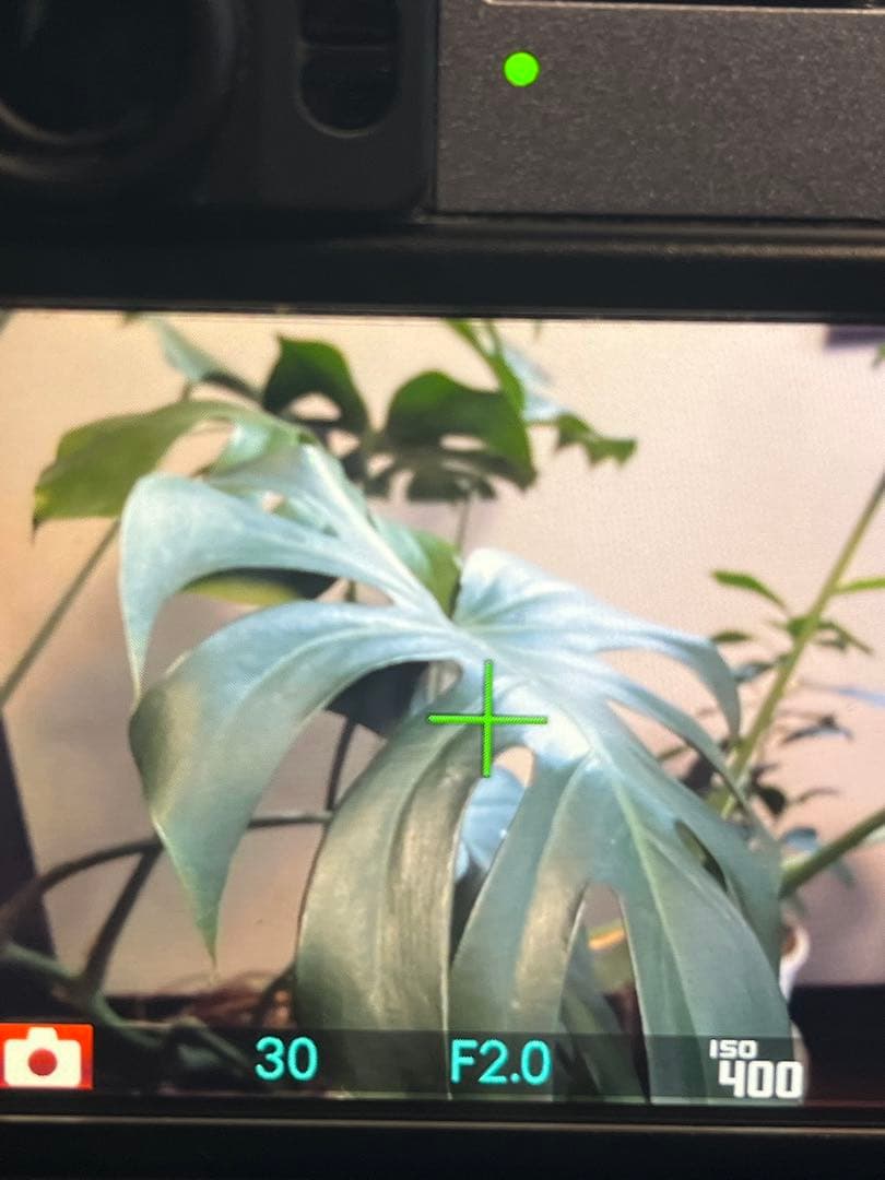 本日12時で出品終了！欲しい方はお早めに！Fujifilm X20 デジカメ