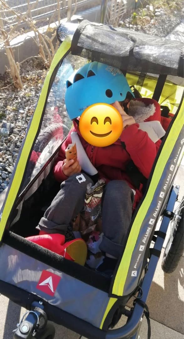 チャイルドシート Allen Child Trailer and Stroller 2 in 1