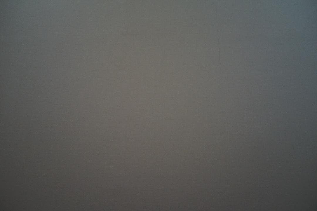 DSC-RX1 　保護ステッカー、予備バッテリー付き