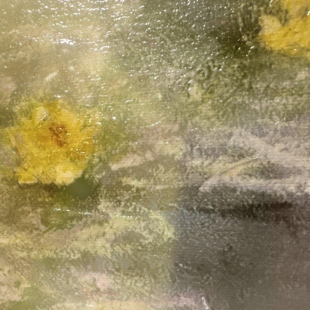 Claude Monet 睡蓮 油彩画 立体複製画