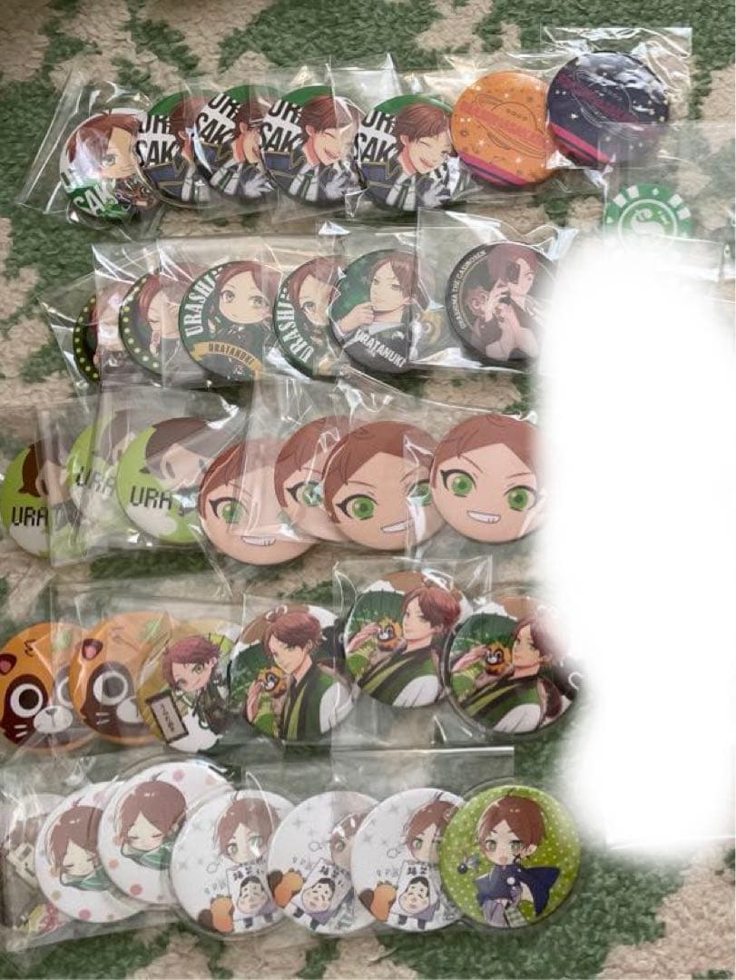 浦島坂田船 うらたぬき セット売り