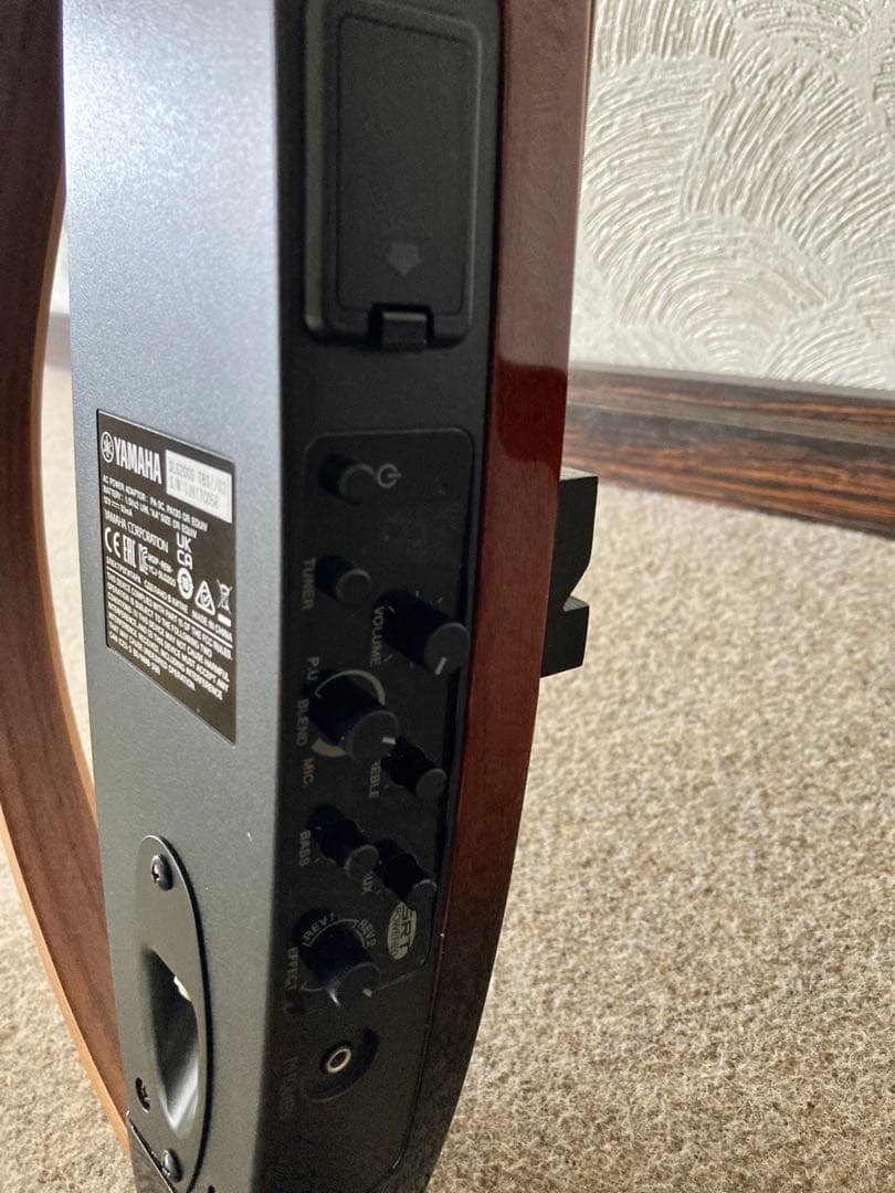 YAMAHAヤマハ SLG200S TBS サイレントギター 別売アクセ多数付