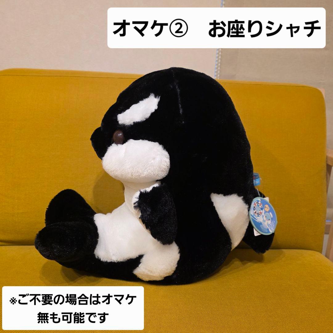 神戸須摩シーワールド　オルカくじ　１等　シャチ　ぬいぐるみ　ラベンダー　オマケ付