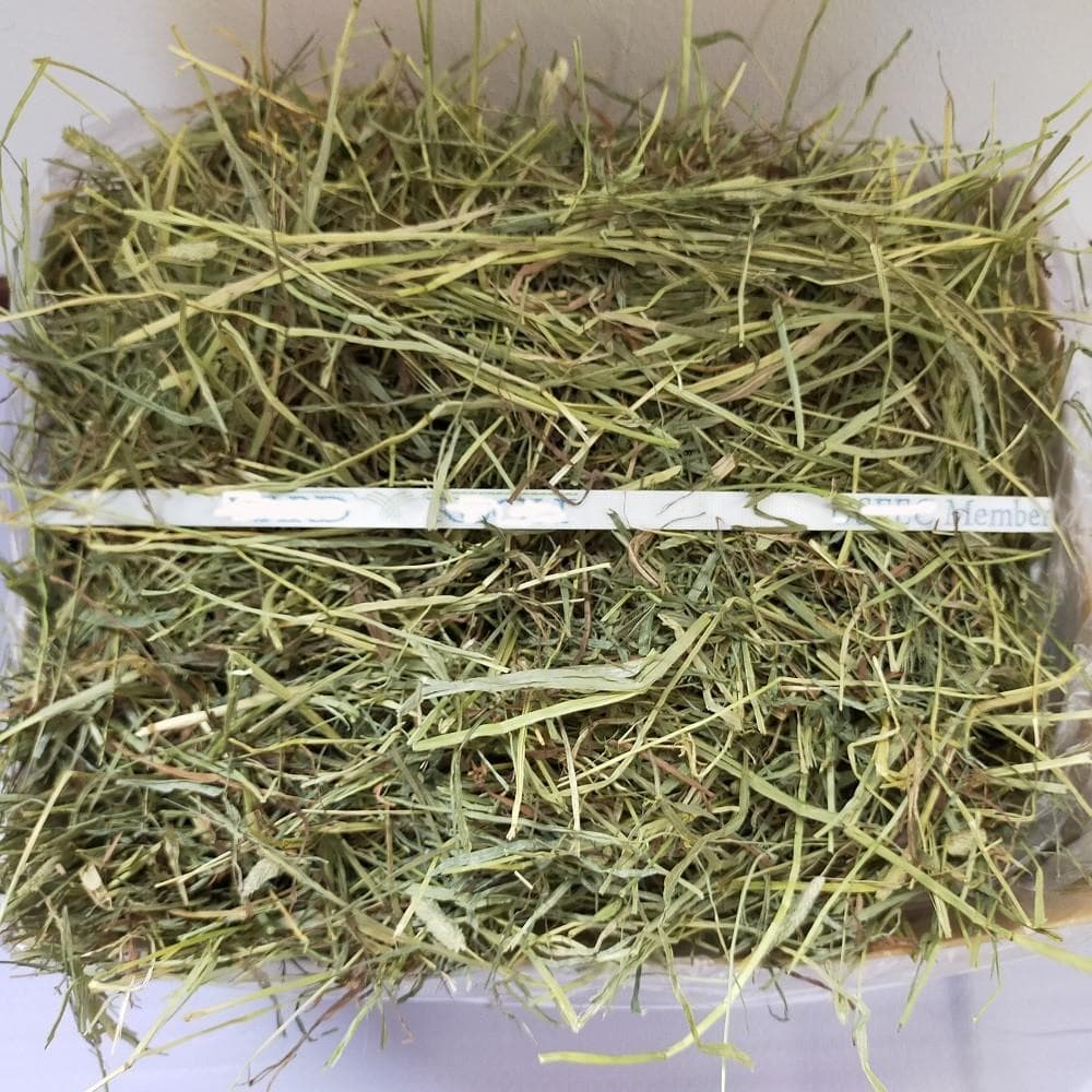 【1/14まで】 US産 チモシー 50kg ２番刈り ソフトSプレミアム