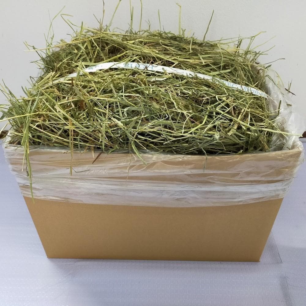 【1/14まで】 US産 チモシー 50kg ２番刈り ソフトSプレミアム
