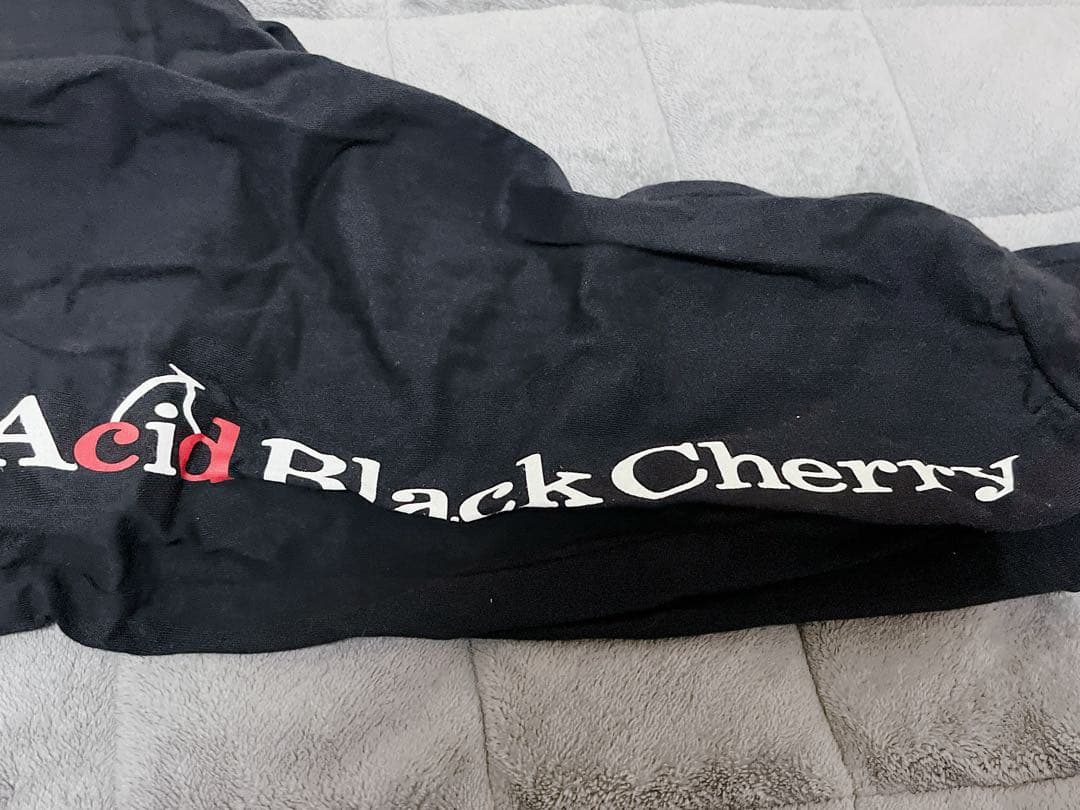 【美品】 Acid Black Cherry セットアップ パーカー サルエル