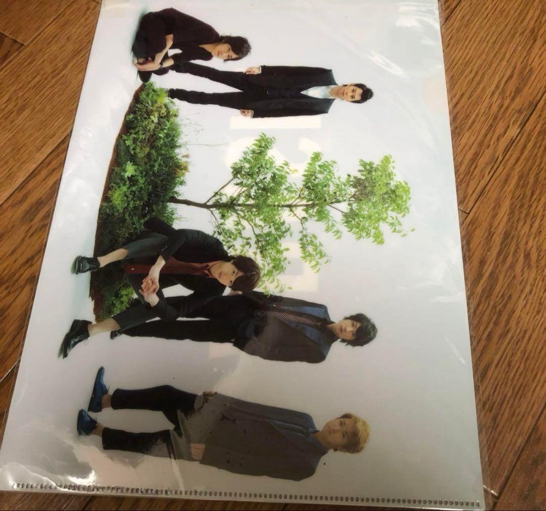 嵐クリアファイル ※確認ページ※