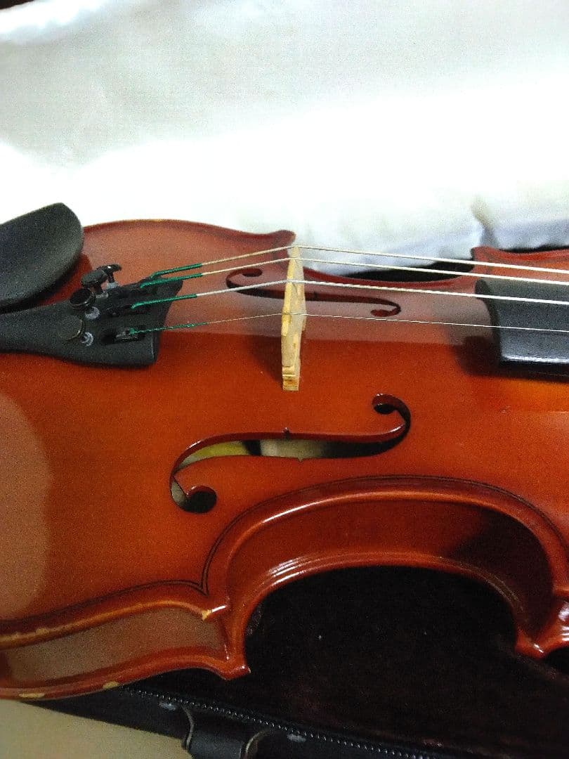 Carlo Giordano vs-1 1/4 2013年製