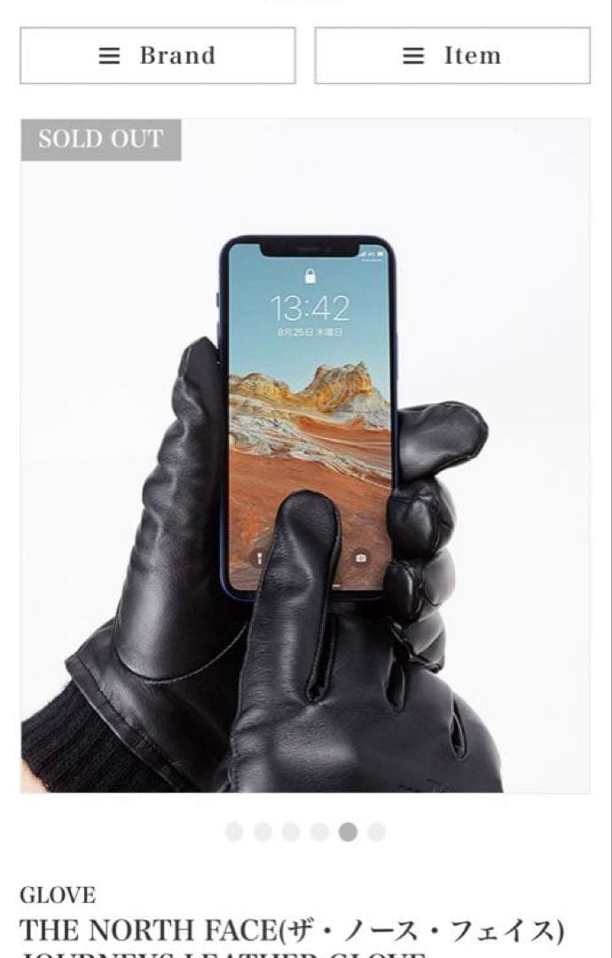 小物 THE NORTH FACE JOURNEYS LEATHER GLOVE