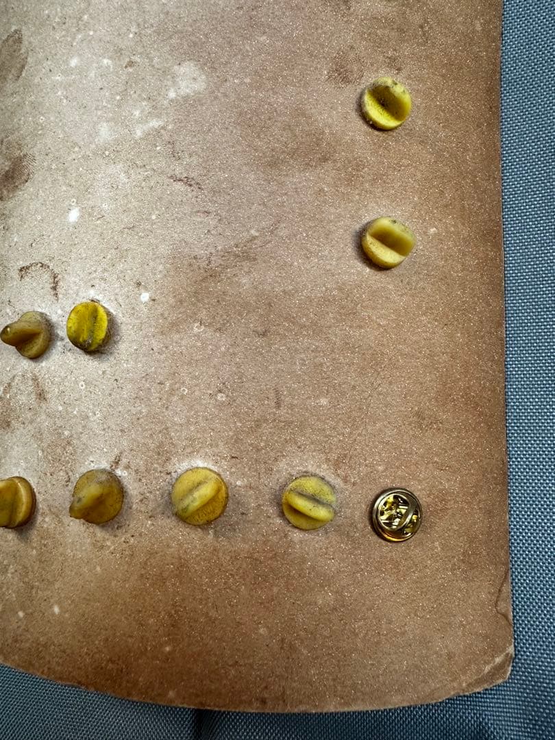 米軍　ベトナム派遣部隊　ピンバッジ