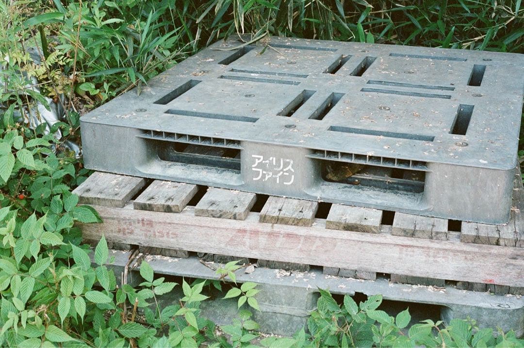 Nikon F80S + MB-16 バッテリーグリップ おまけあり 作例あり