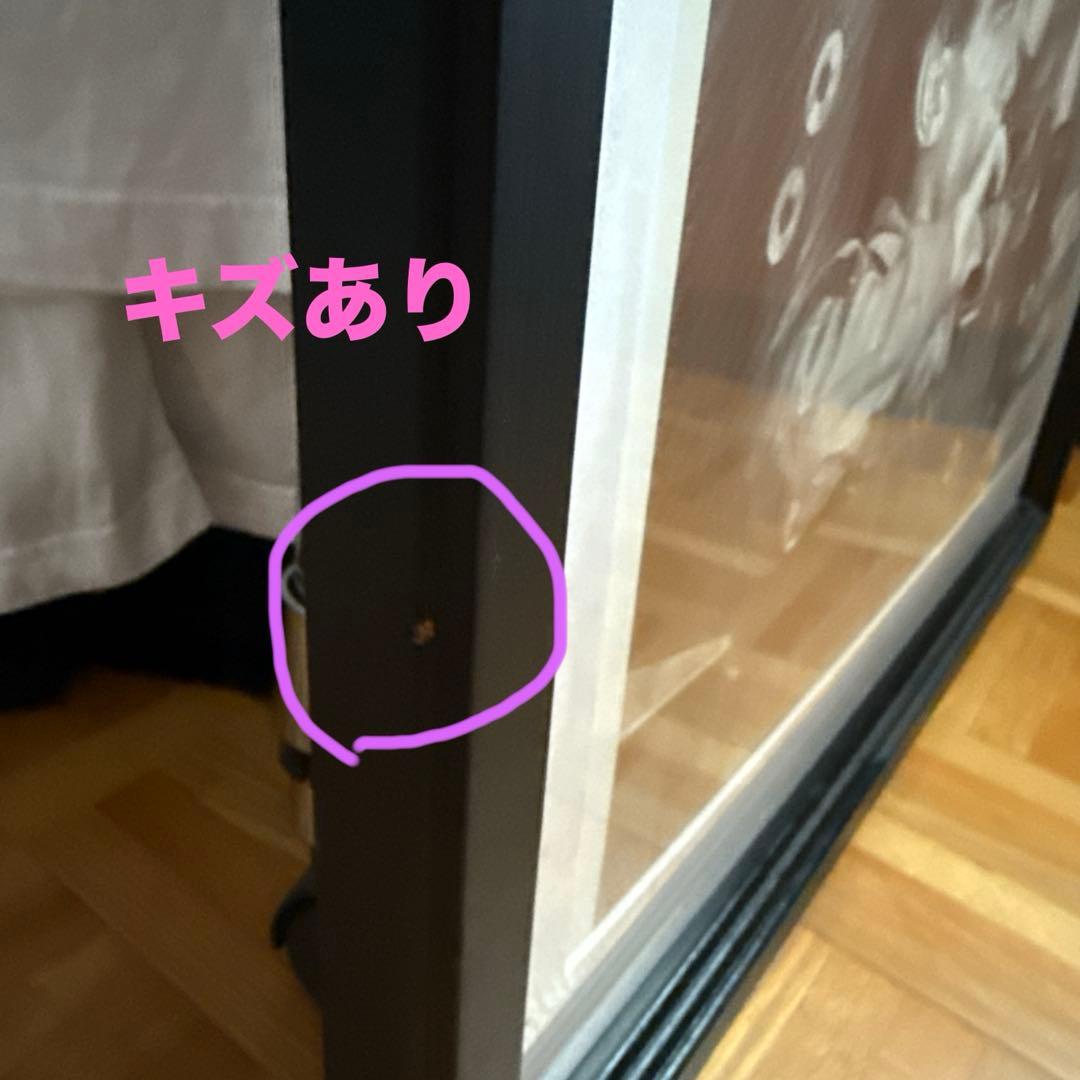 アイルトン・セナ 3000枚限定　リトグラフ 肖像画