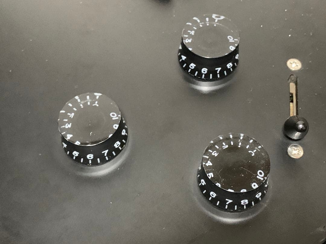 グラスルーツ glassroots G-L-48LP INORAN モデル #2