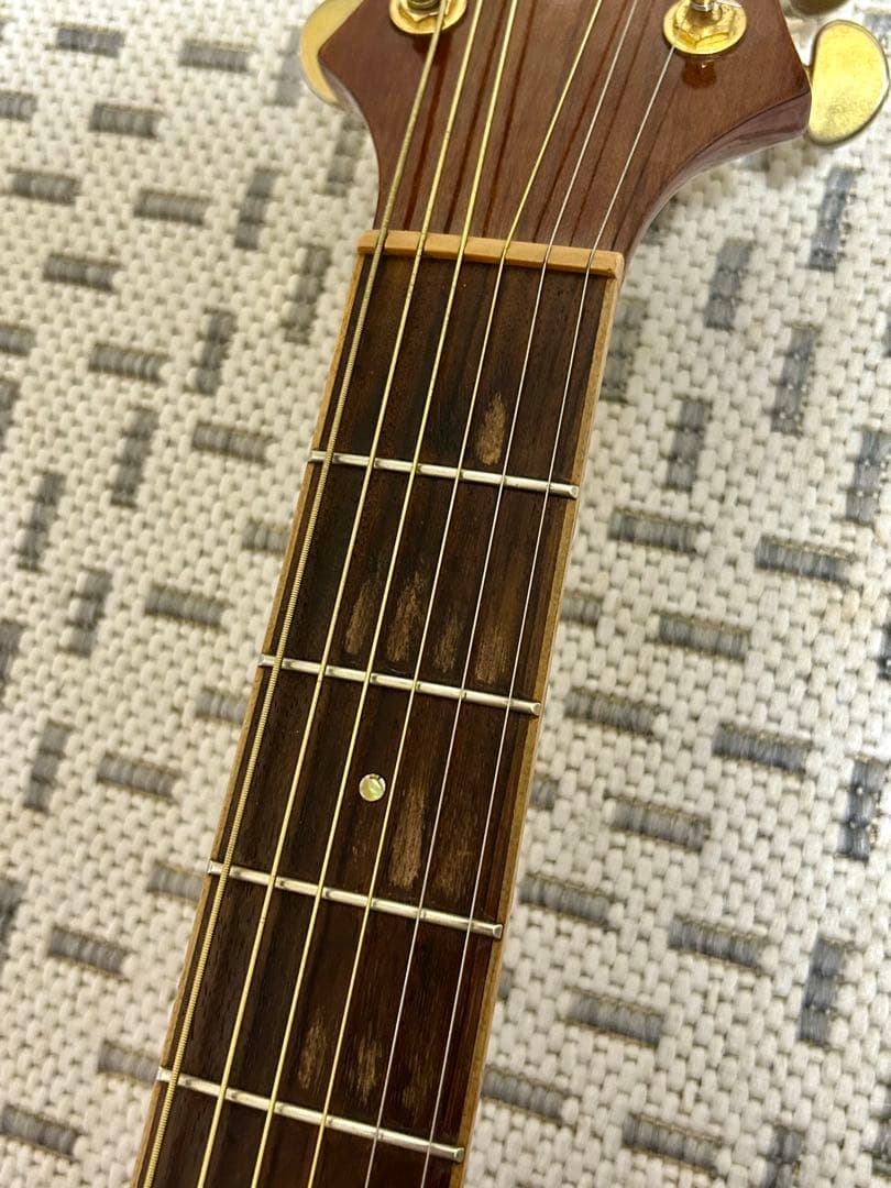 GREG BENNETT design SAMICHエレアコ(OM-15CE)