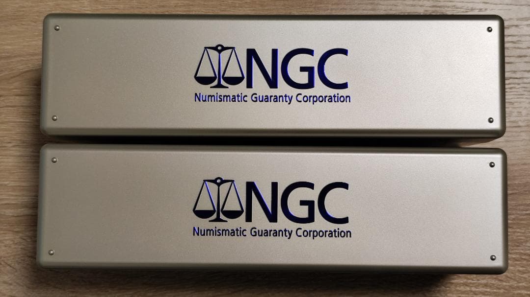 NGC スラブケース 20個まで収納可 2個セット