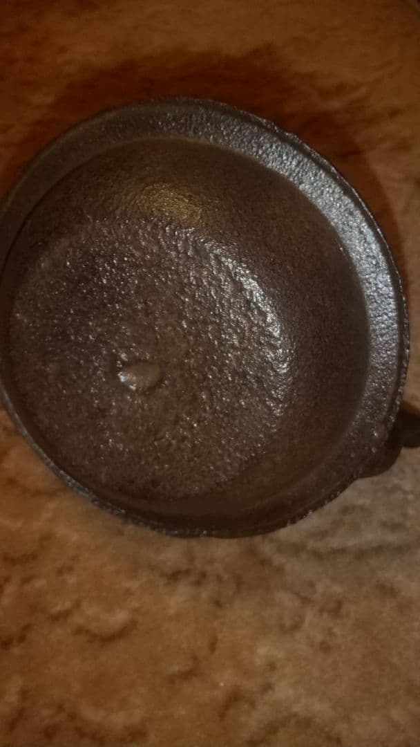 龍文堂　鉄瓶　珍品　草花紋