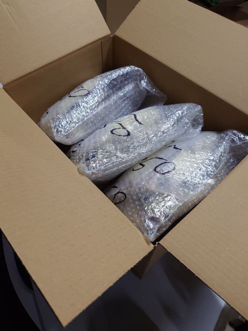 冷凍ラット 250~300g 30匹