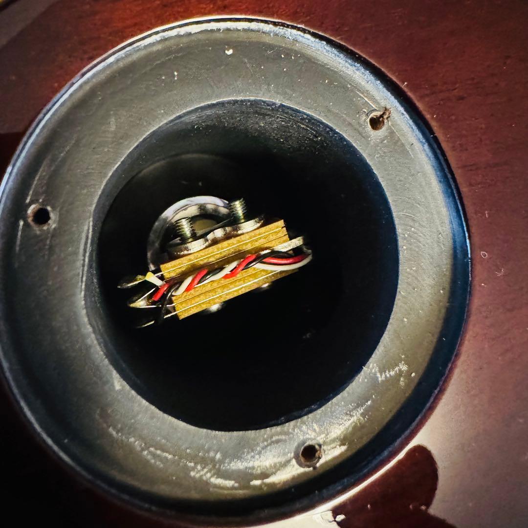 超希少!!カスタムオーダーモデル!! TOKAI LS120WF/OAK