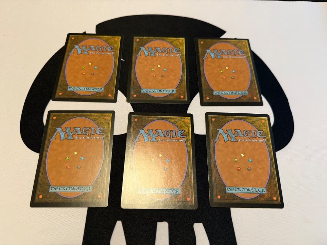 霧深い雨林　６枚　英語　MTG