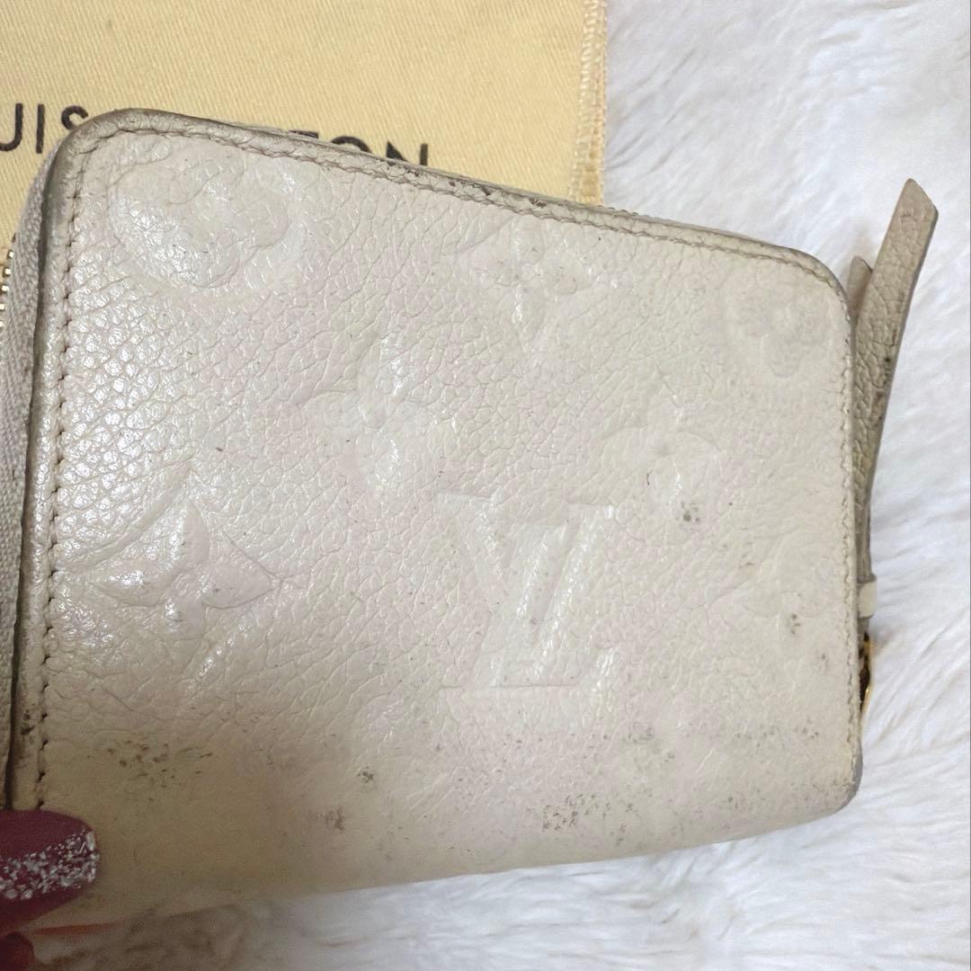 LOUIS VUITTON アンプラント　ケース