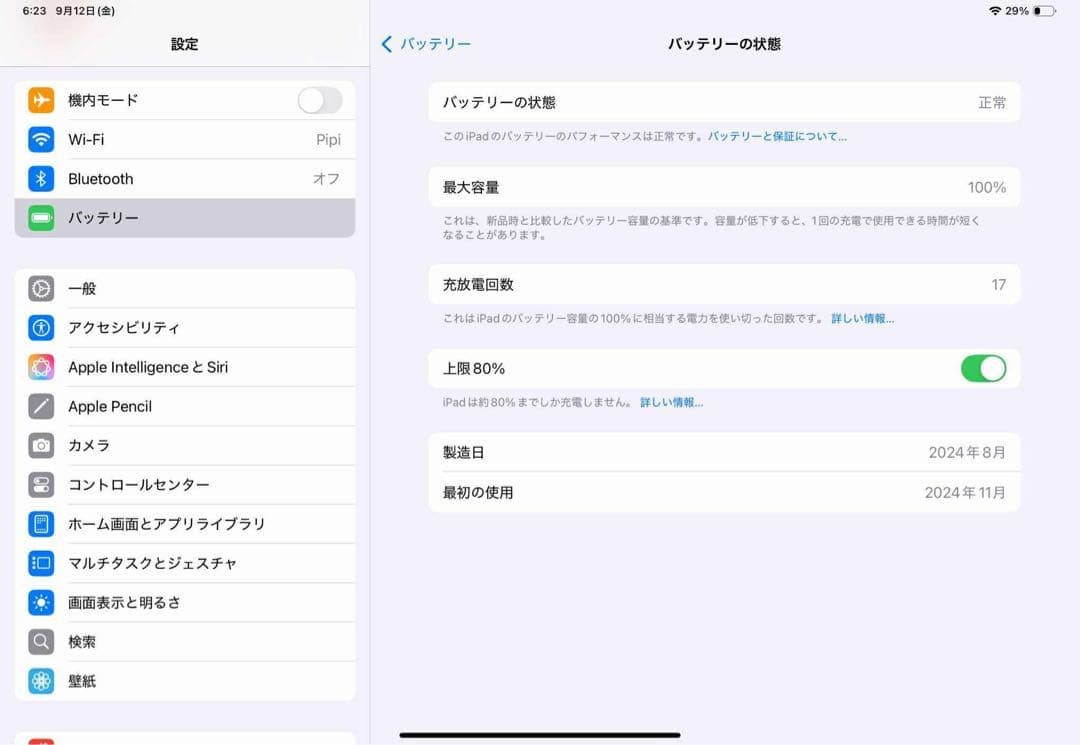 iPad Pro M4 11インチ 2024年 バッテリー100% 保証付属品有