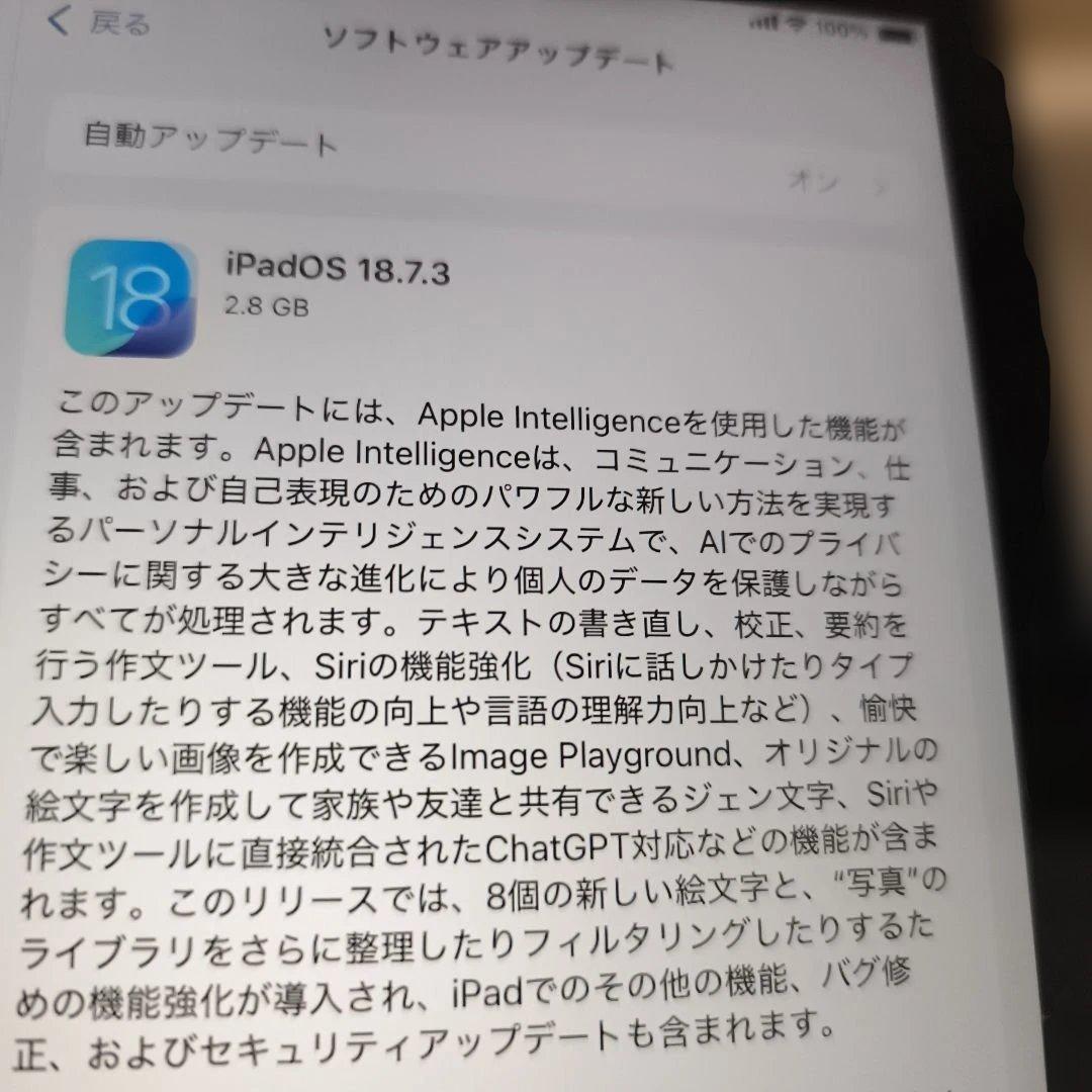 第8世代 32GB セルラーモデル 32GBスペースグレ85％