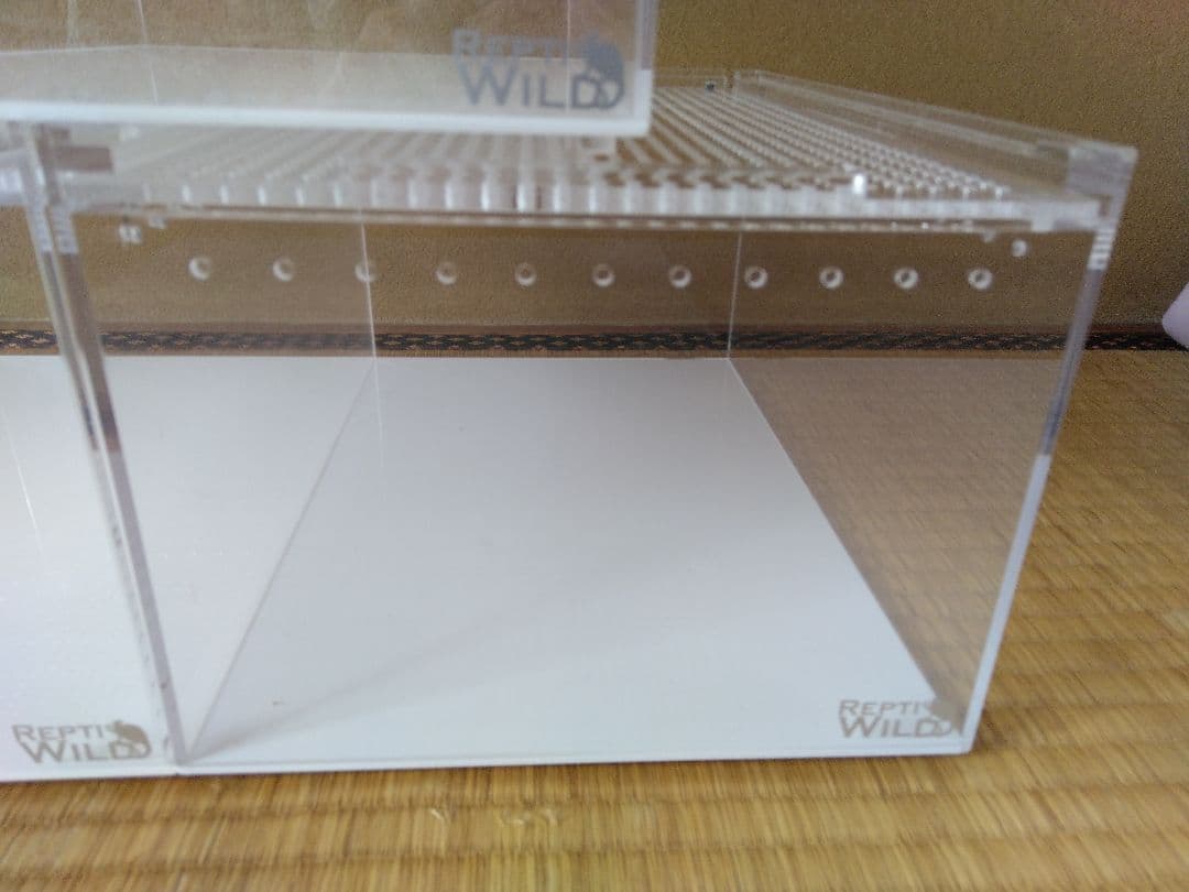 レプタイルボックス　３個セット