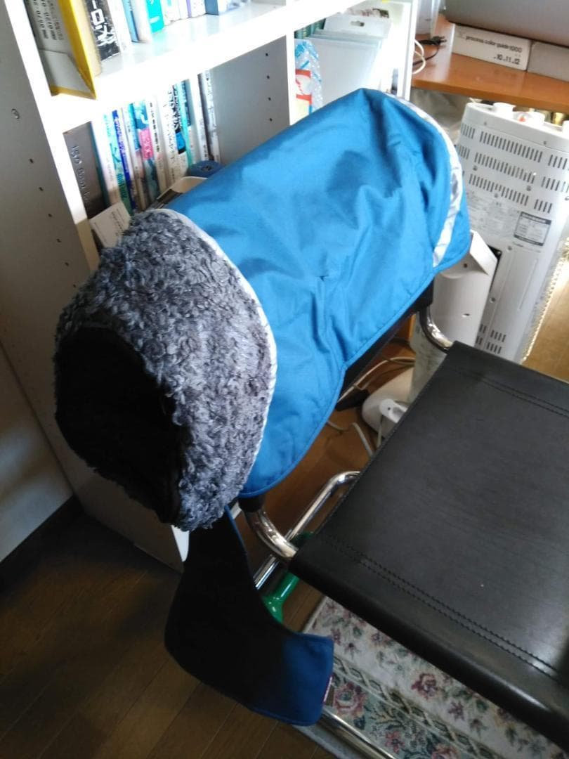 ポムッパ　ペルス　ペトロール　サイズ75