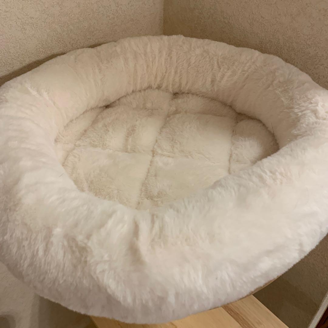 木製キャットタワー 据え置き型