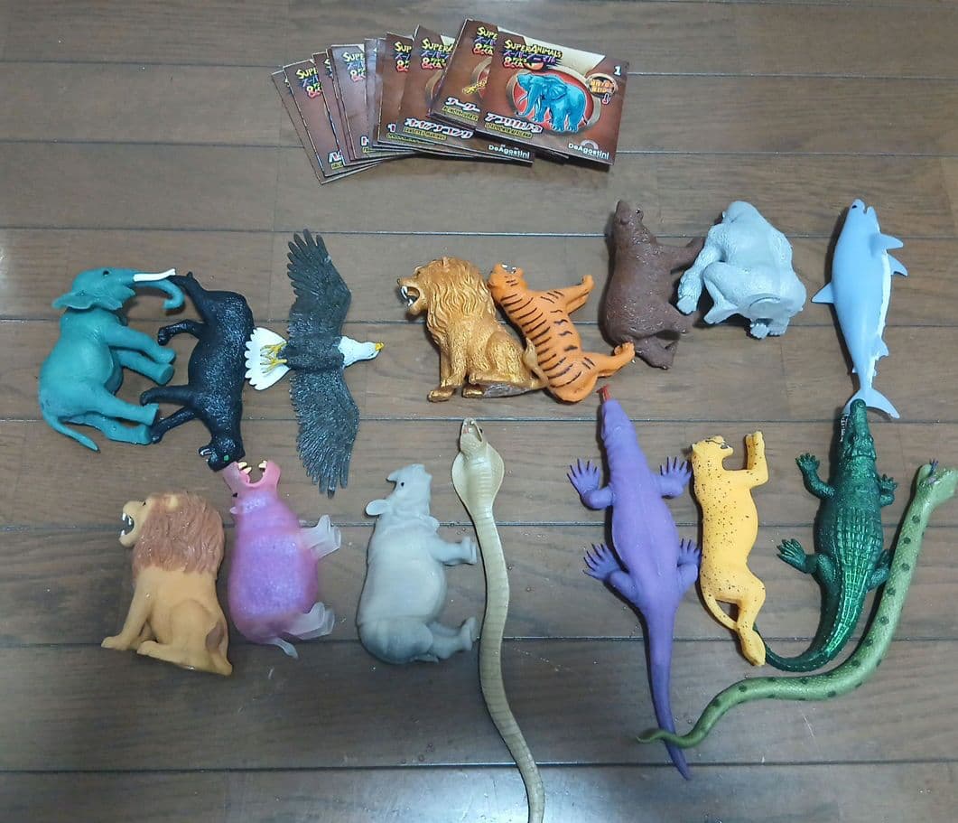 ワサビ@商品説明文を読んでから購入してね