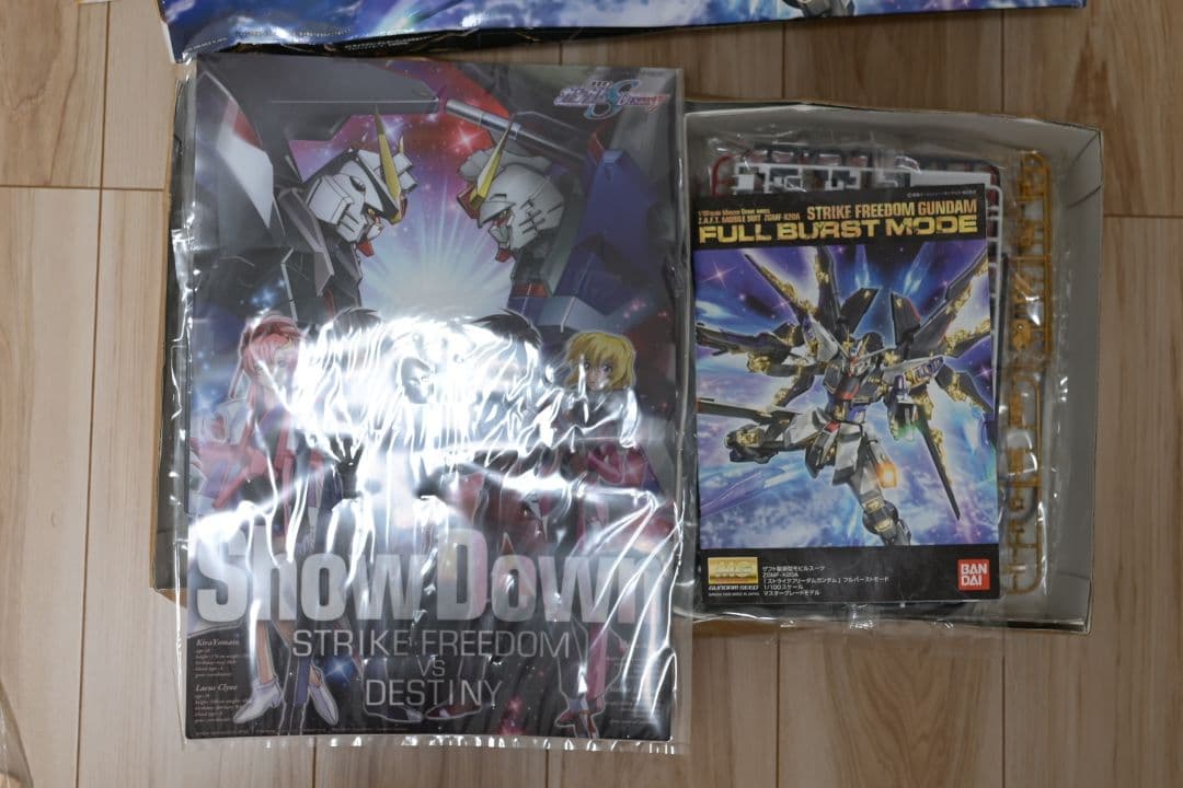 未組立/箱傷み MG ストライクフリーダムガンダム　フルバーストモード