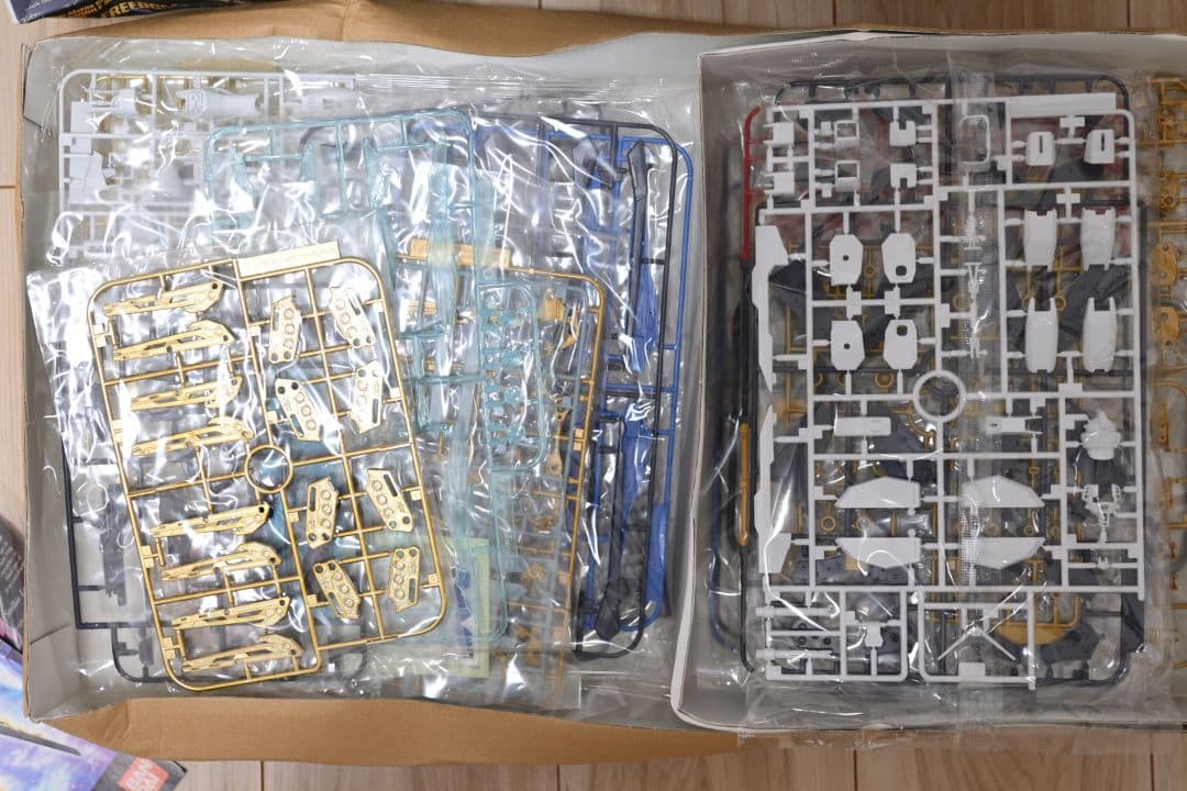 未組立/箱傷み MG ストライクフリーダムガンダム　フルバーストモード