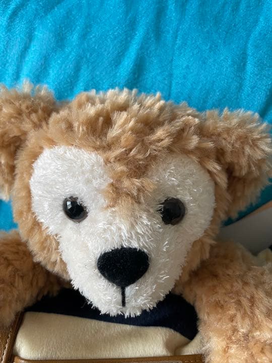 ディズニーシー　ダッフィー　シェリーメイ　ぬいぐるみ　ブランケット　膝掛け　新品