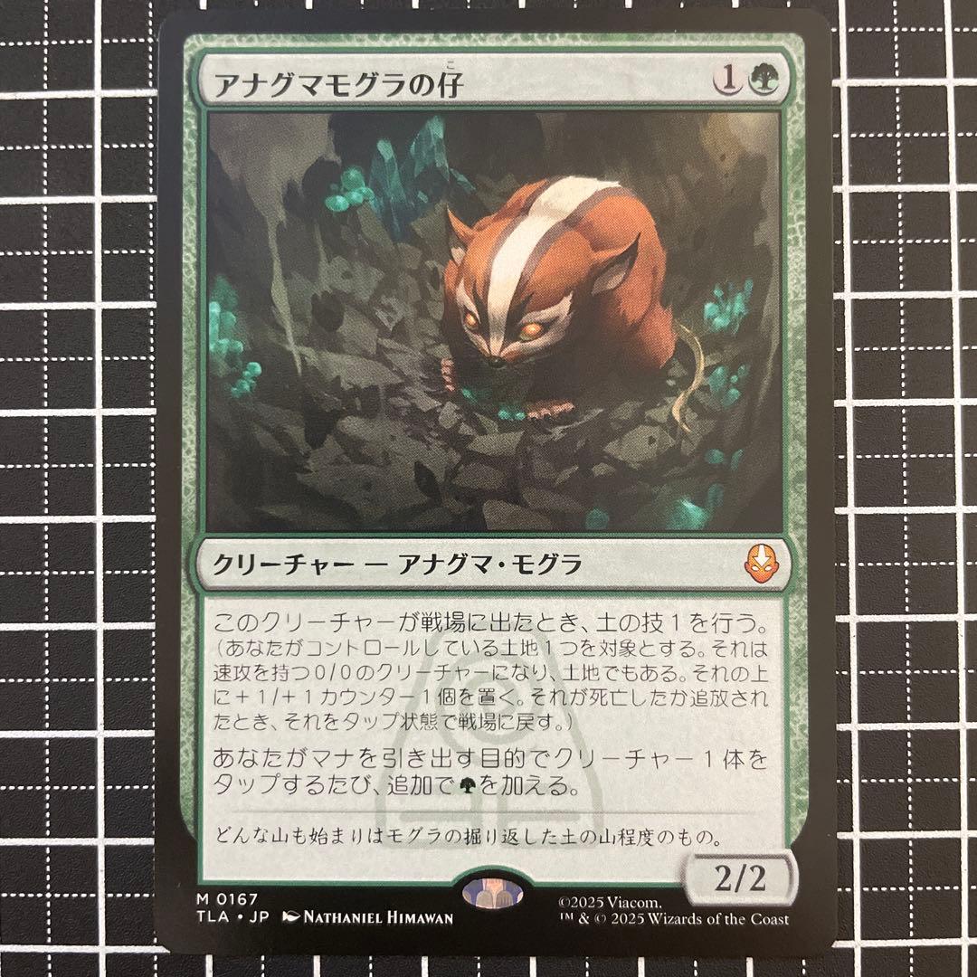 アナグマモグラの仔/Badgermole Cub