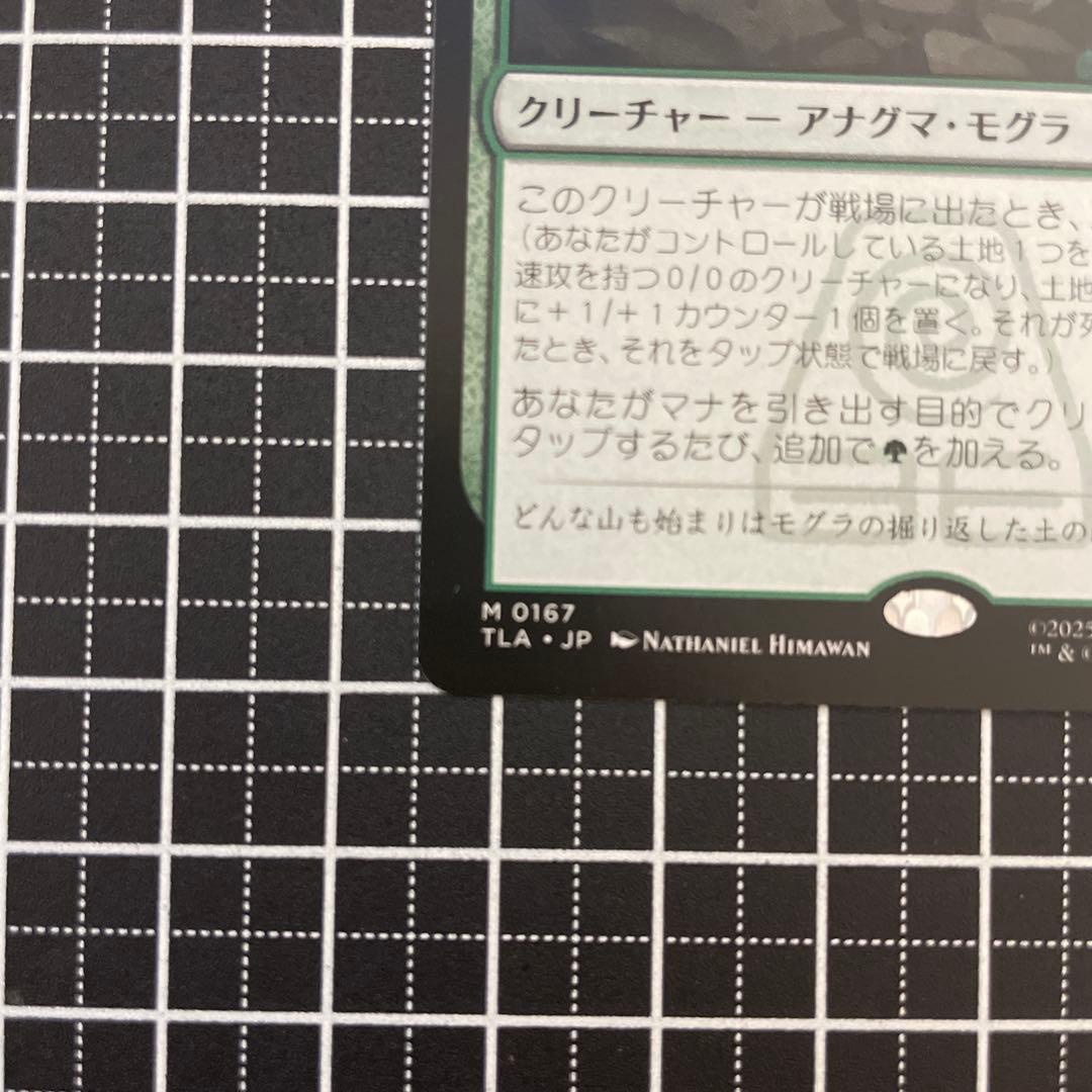 アナグマモグラの仔/Badgermole Cub