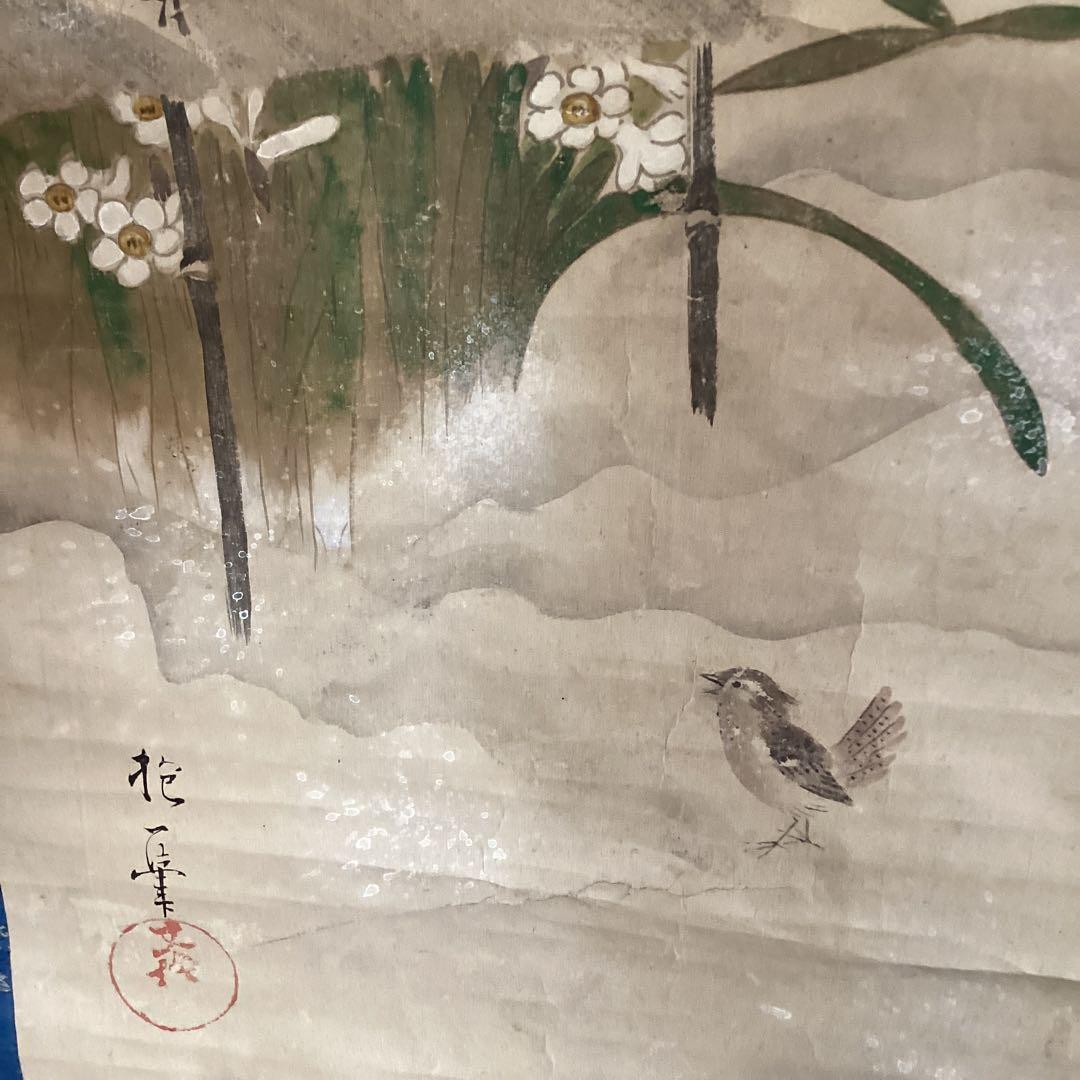 酒井抱一　　紙本彩色画　【　雪中水仙に小禽図　】　落款印譜　掛軸一幅　377