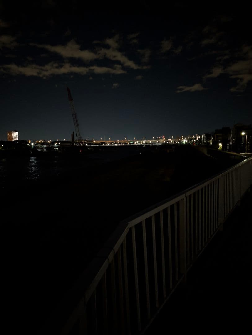 【新品】ナイトビジョン　DIBULO NVG3rd