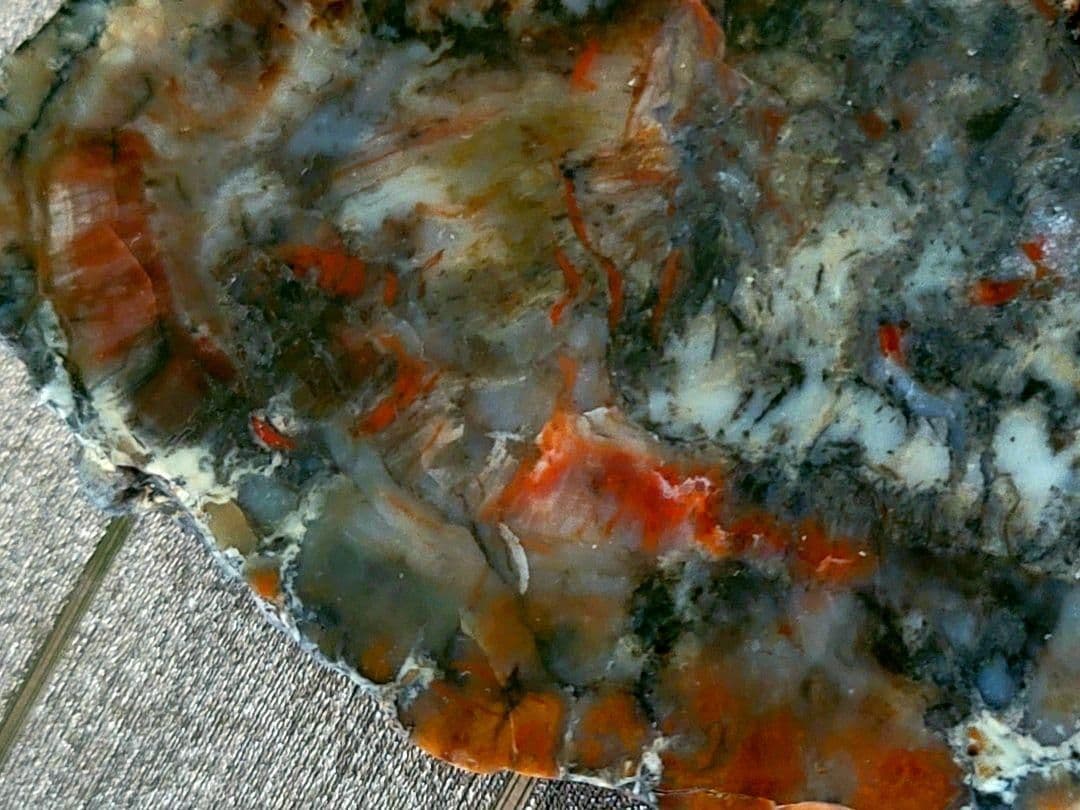 化石『恐竜の糞化石』コプロライト 希少 標本 稀石 生痕 草食恐竜 瑪瑙化 天然